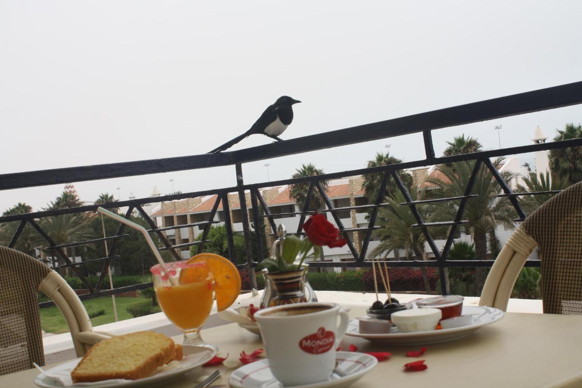 Golden Beach Appart'Hotel Agadir Oda fotoğraf